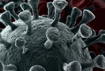 Coronavirus