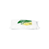BIOCLENE WET WIPES
